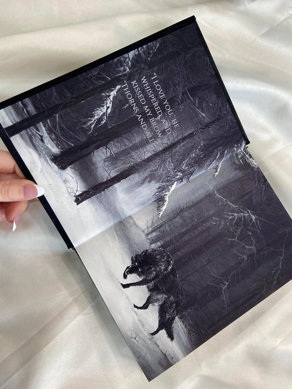 A Court of Thorns and Roses by Sarah J Maas